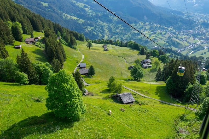 Grindelwald, Terminal