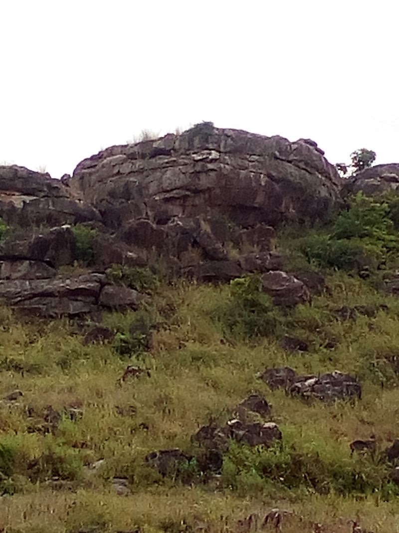 Megha - Megha, Chhattisgarh 493662, India