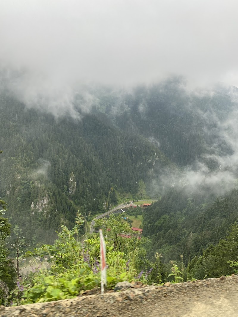 Uzungol Observation Deck - Uzungol Observation Deck Uzungöl, 61940 Çaykara/Trabzon, Türkiye