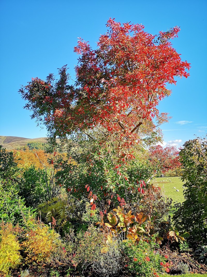 Broughton - Broughton, Biggar ML12 6HQ, UK