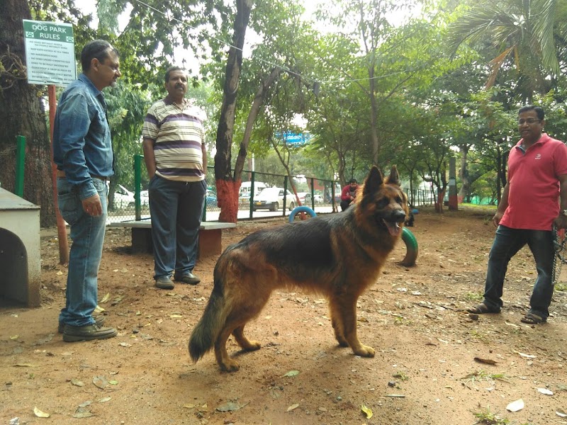 Domlur Dog Park - Domlur Dog Park, XJ6P+CM6, Domlur I Stage, 1st Stage, Domlur, Bengaluru, Karnataka 560071, India