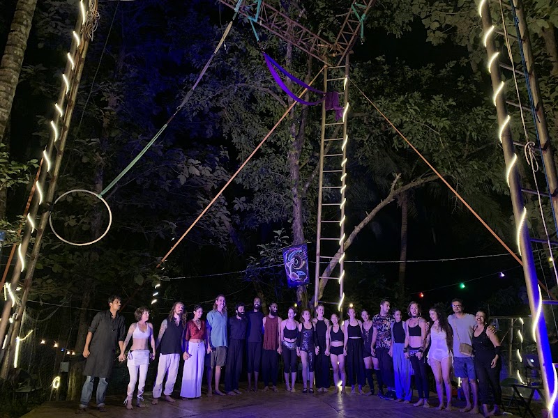 Bliss Circus - Bliss Circus Ourem Rd, inside Traverse Hostel, Mohanbagh, Palolem, Canacona, Goa 403702, India
