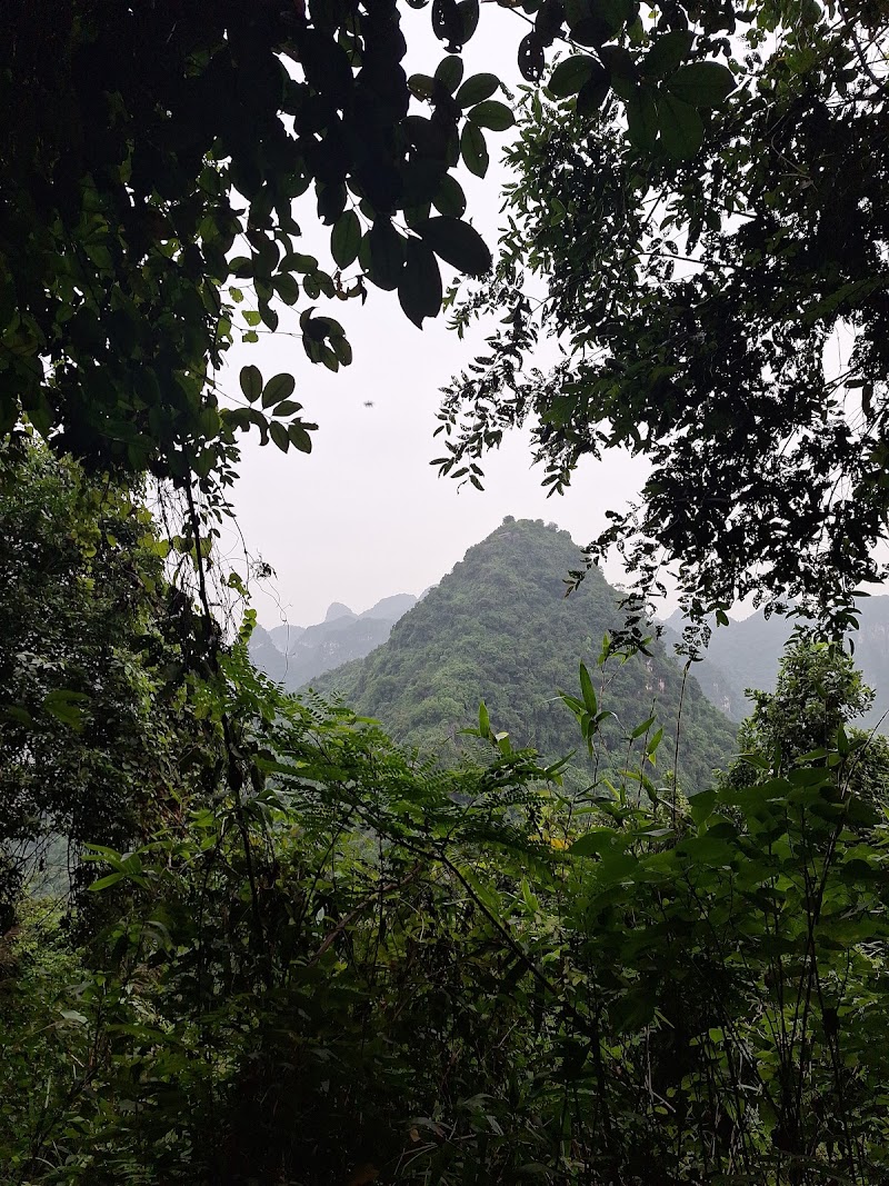 Vai Gioi Cave - Vai Gioi Cave, 6W82+C77, Nam Hoa Lu, Ninh Binh, Vietnam