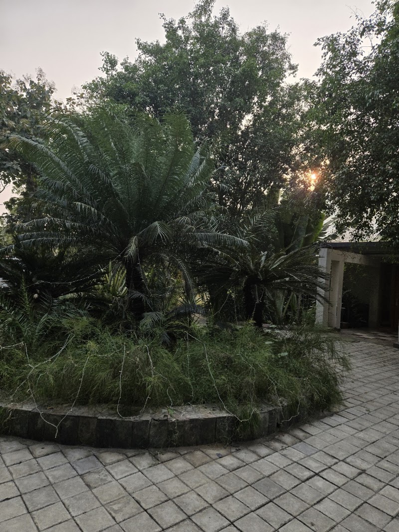 Aranyak Farms -private accommodation - Aranyak Farms -private accommodation 65J6+7GP, Karnki, Haryana 122103, India