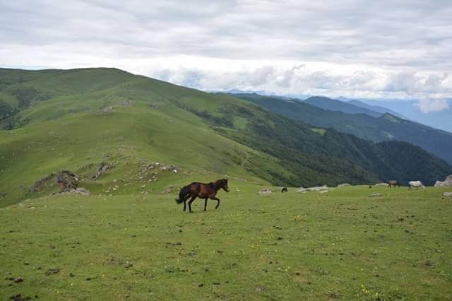 Chanshal Pass - Chanshal Pass 5XWQ+QF7 Chanshal Pass, D.P.F. Topn Jasan, Himachal Pradesh 171208, India