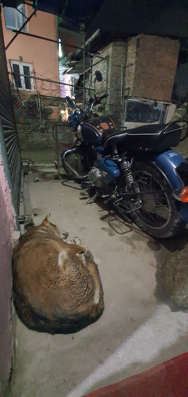 Gaushala Guest House - Gaushala Guest House P84V+FXQ, Ring Rd, Kathmandu 44600, Nepal