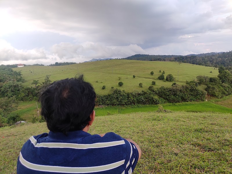 Heththur’s Green Meadows - Heththur’s Green Meadows QQJM+HX5, Hadya, Karnataka 573123, India