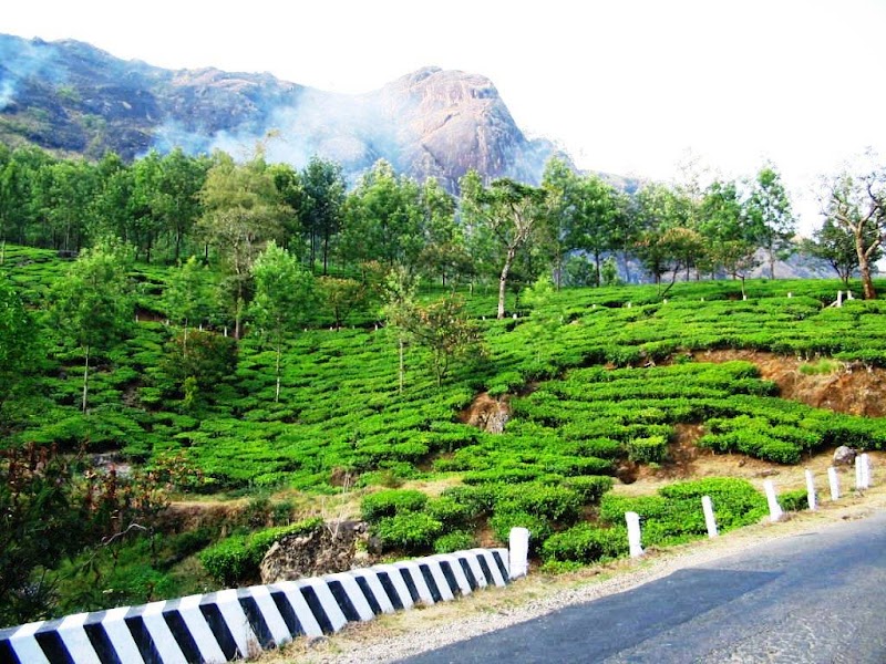 Sunset View Point - Sunset View Point, Munnar - Aluva Rd, Moolakadai, Munnar, Kerala 685565, India