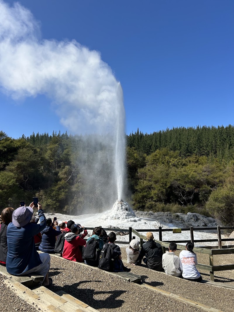 Lady Knox Geyser - Lady Knox Geyser 201 Waiotapu Loop Rd, Rotorua, Waiotapu 3073, New Zealand