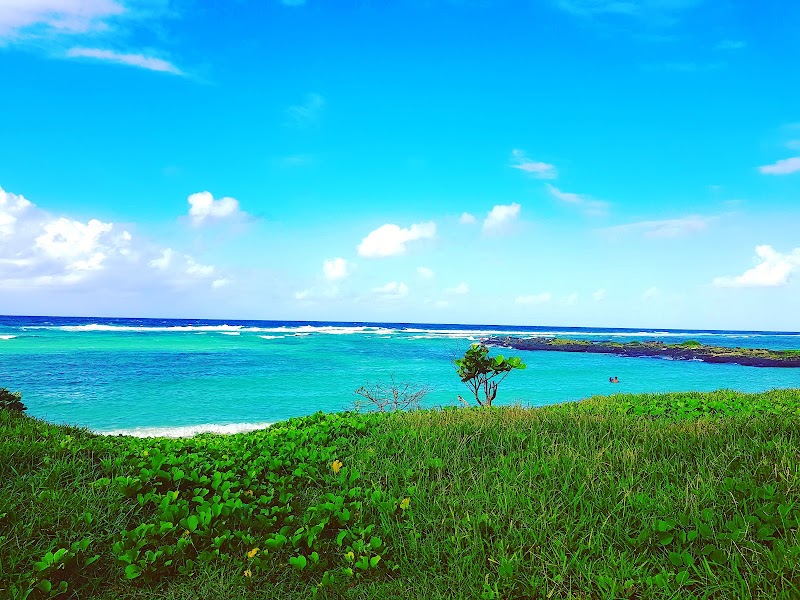 Palmar beach - Palmar beach, Quatre Cocos, Mauritius