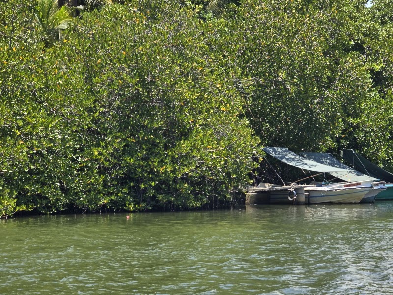 Madu Queen Boat Safari | Madu River - Madu Queen Boat Safari | Madu River, Nandana Gardens, Balapitiya 80550, Sri Lanka