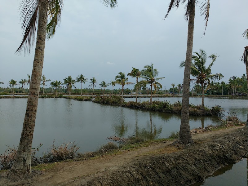 Mulavukad - Mulavukad Mulavukad, Ernakulam, Kochi, Kerala, India