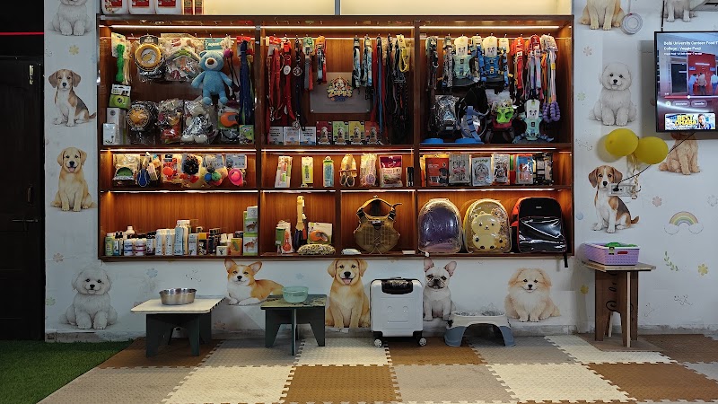 Zupy's Den | Premium Pet Retreat - Zupy's Den | Premium Pet Retreat, Zupy's Den, Dolphins Farm House Doomartalab, 236/8 & 236/13, Amanaka Thana Rd, near India Oil petrol pump, Amanaka, Raipur, Chhattisgarh 492099, India