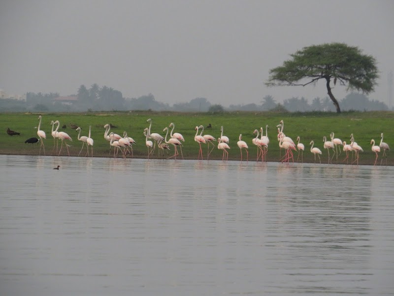 Tsea Turtle Tourism - Tsea Turtle Tourism, Block No C402, Sai Sathe Park, Deo Wada, Keshav Nagar, Chinchwad, Pimpri-Chinchwad, Pune, Maharashtra 411033, India