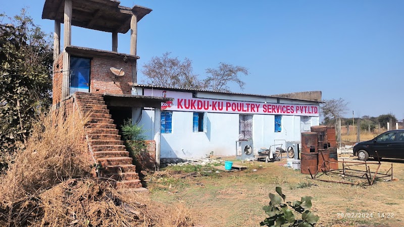 Kukdu ku hatchery - Kukdu ku hatchery, 44XC+F4F, Mauhabhata, Chhattisgarh 491443, India