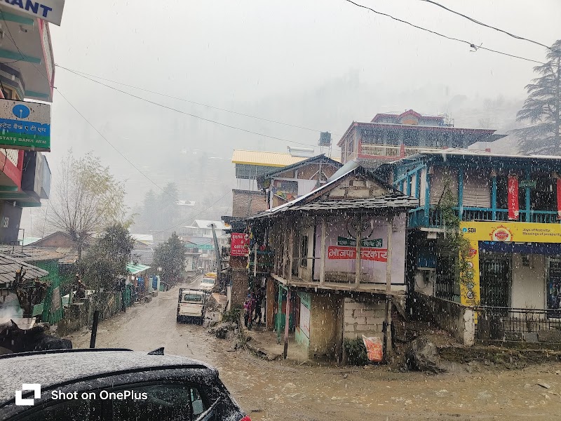 Skylight Garden River side Cafe & homestay - Skylight Garden River side Cafe & homestay main market, opposite State bank of INDIA, Jibhi, Rashala, Himachal Pradesh 175123, India