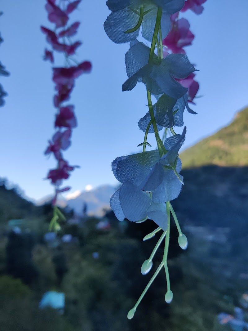 Mountain Majesty cottage Jibhi - Mountain Majesty cottage Jibhi Village kandhi Post office tandi, tehsil, Banjar, Bini, Himachal Pradesh 175123, India
