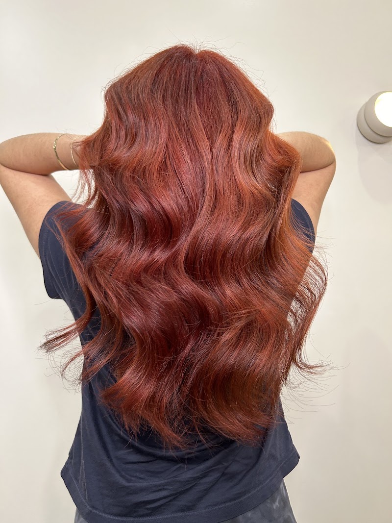 Little Lion Salon - Little Lion Salon, 537 Grand St, Brooklyn, NY 11211, USA