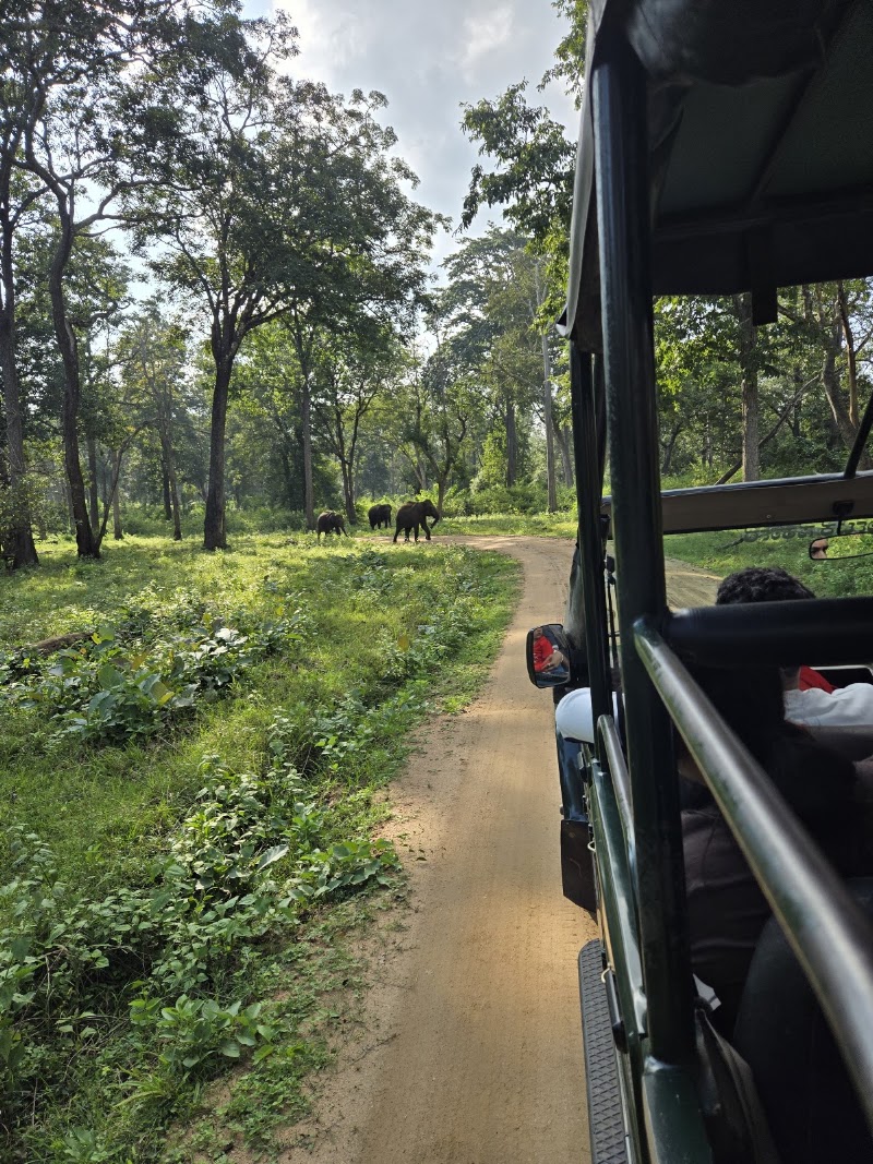 Nagarhole national park entrance from Kabini side - Nagarhole national park entrance from Kabini side, W6VP+WQF, Nisna, Karnataka 571114, India