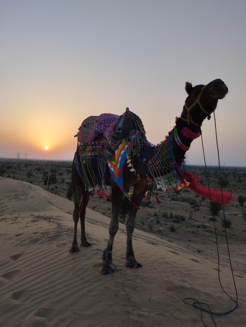 Raisar Desert Camp - Raisar Desert Camp, Jaipur Rd, Raisar, Bikaner, Rajasthan 334001, India