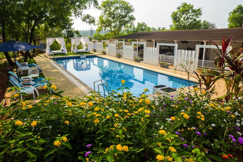 White Wood Resort By Stone Wood Hotels - White Wood Resort By Stone Wood Hotels New wada ,Morjim, Pernem, Morjim, Goa 403512, India