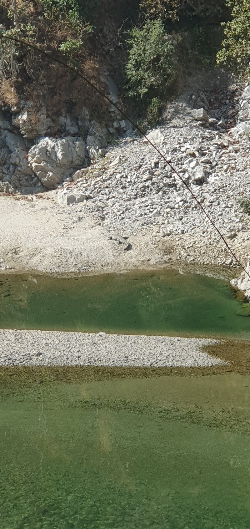 Crocodile view point - Crocodile view point, J34R+5FG, NH309, Marchula, Ghiroli, Uttarakhand 263646, India