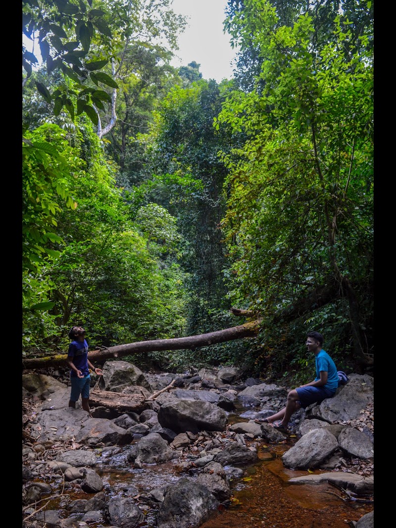 Netravali Wildlife Sanctuary Goa - Netravali Wildlife Sanctuary Goa 36MJ+FR7, Unnamed Road, Neturlim, Goa 403704, India