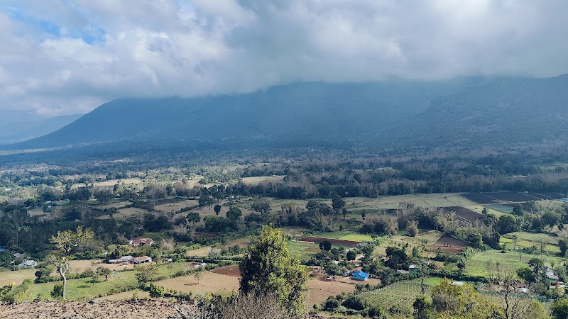Jungle Holidayz - Jungle Holidayz Jungle Holidayz, Tours & Travels, Mavanalla ( P.O ),, Masinagudi,, Nilgiris, Masinagudi, Tamil Nadu 643223, India