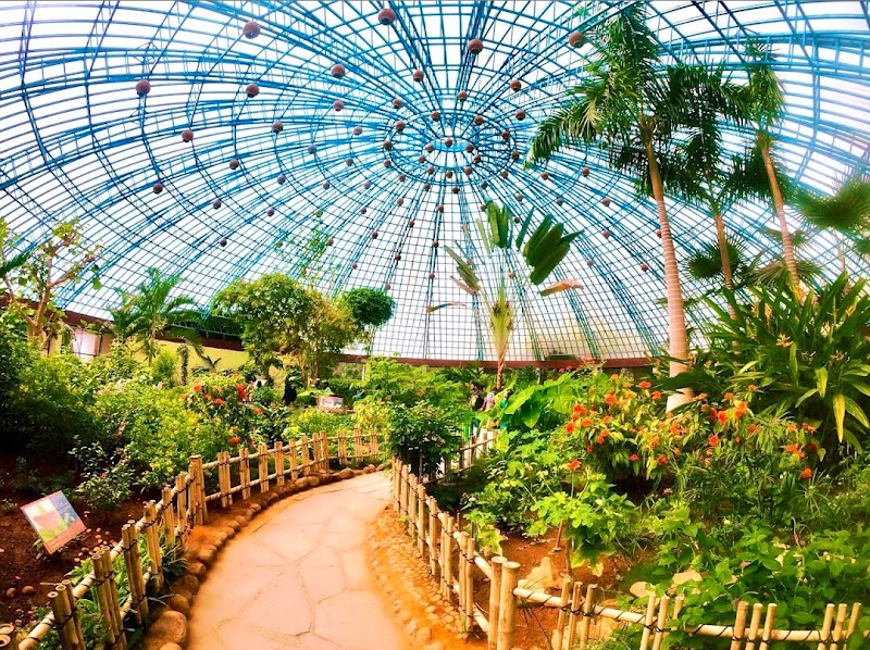 Butterfly Park