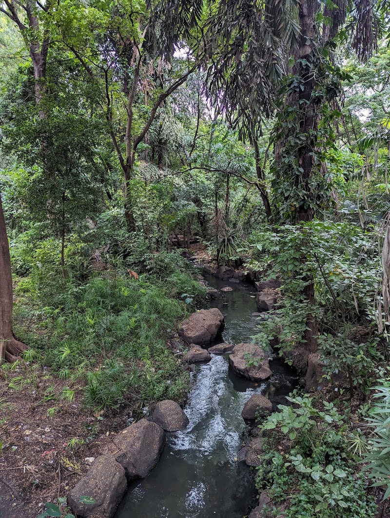 Koregaon Park - Koregaon Park, Clover Dale A, 311, Meera Nagar Path, Ashok Chakra Society, Meera Nagar, Koregaon Park, Pune, Maharashtra 411001, India