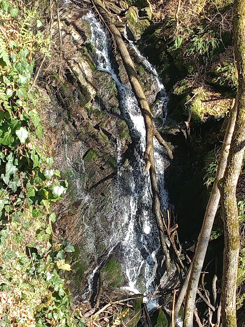 Oase der Ruhe - Aussichtspunkt Wasserfall-Erlebnisroute - Oase der Ruhe - Aussichtspunkt Wasserfall-Erlebnisroute, 32GP+6R, 56864 Bad Bertrich, Germany