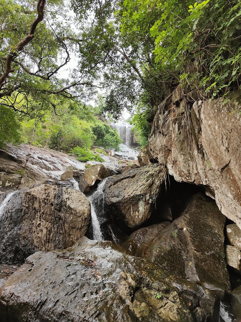 Gandhamardana Hill - Gandhamardana Hill Gandhamardana Hill, Odisha, India