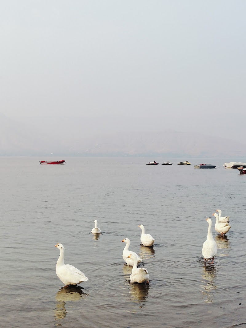Dhom Dam - Dhom Dam, Maharashtra 412803