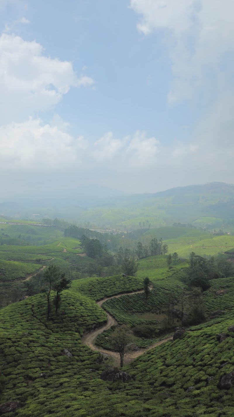 Munnar travel expert cabs - Munnar travel expert cabs Munnar Bypass, Anachal, Kerala 685565, India