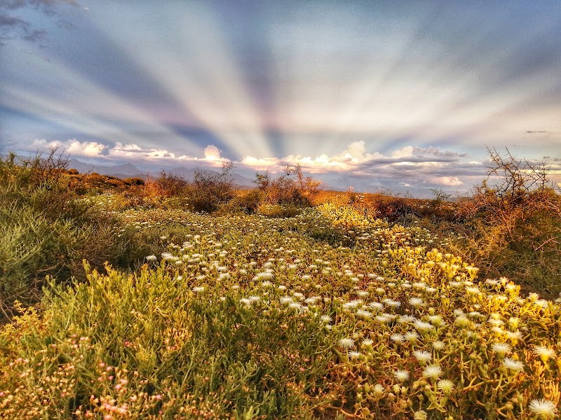 Oudtshoorn - Oudtshoorn, South Africa