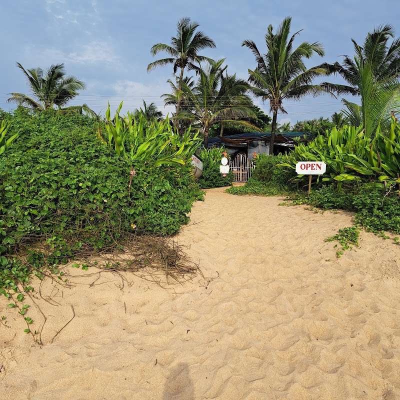 Pousada by the Beach - Pousada by the Beach Holiday St, Calangute, Goa 403516, India