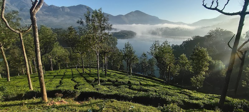 Trip Masterz India - Tour Operators - Trip Masterz India - Tour Operators, Room No.10/646, Bus Stop, Nambyaarkunnu Road, near Kudukki, Cheeral, Kudukki, Kerala 673595, India