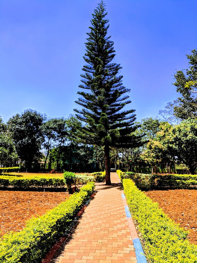 Yelagiri - Nature Park - Yelagiri - Nature Park Punganur, Yelagiri, Tamil Nadu 635853, India
