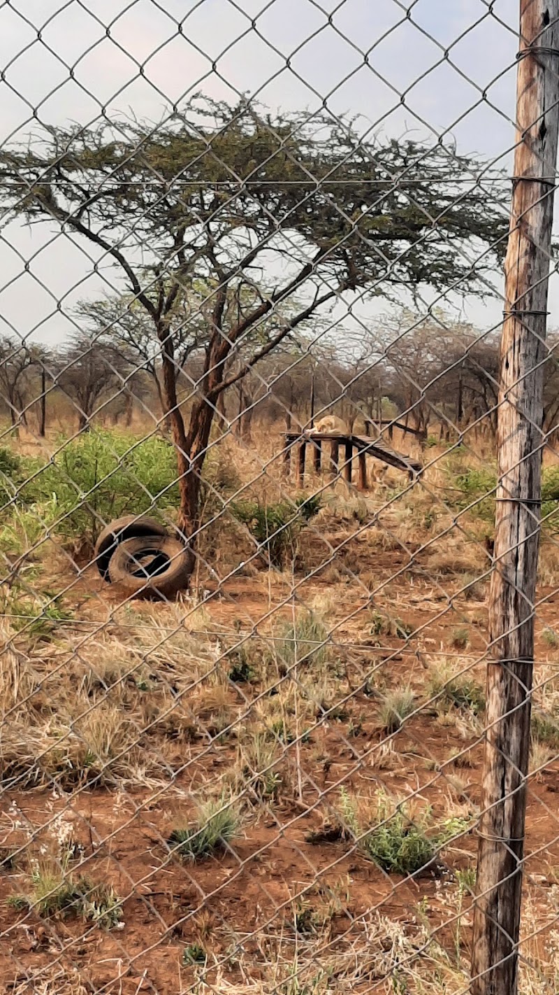 Tshabala Game Sanctuary - Tshabala Game Sanctuary, QH5C+QX3, Matopos Rd, Bulawayo, Zimbabwe