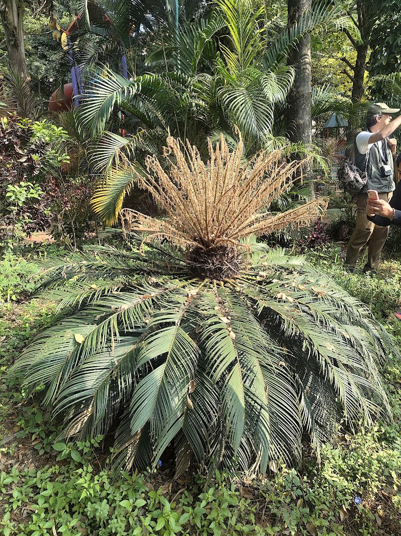 KoraWalks - KoraWalks Heble Park, Koramangala 3 Block, Koramangala, Bengaluru, Karnataka 560034, India