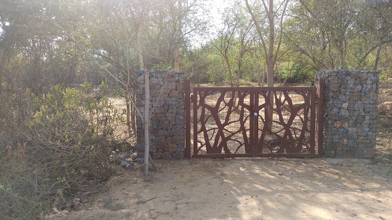 Nursery Biodiversity Park Nathu Pur - Nursery Biodiversity Park Nathu Pur Aravali Biodiversity park, Nathupur, Sector 24, Gurugram, Haryana 122002, India
