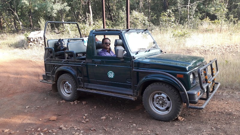 Tadoba-Andhari Tiger Reserve - Tadoba-Andhari Tiger Reserve Maharashtra, India