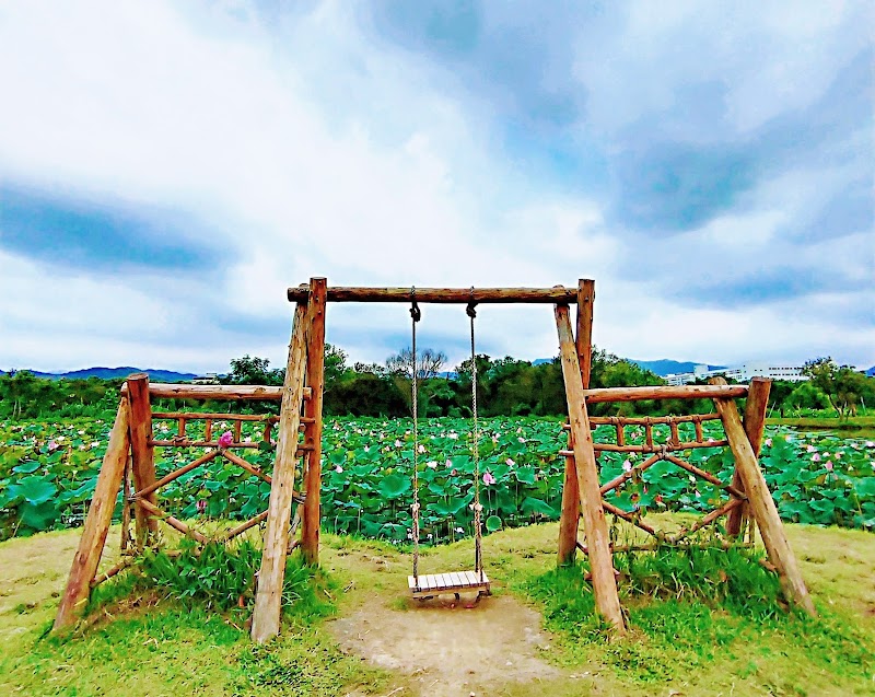 Shanjia Lotus Pond - Shanjia Lotus Pond X98Q+JR, Shulin District, New Taipei City, Taiwan 238