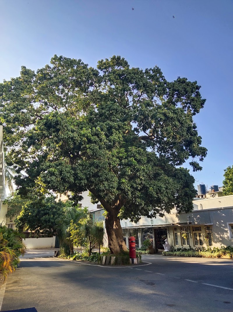 Woodys - Woodys, Hotel Woodlands, Raja Ram Mohan Roy Rd, Sampangi Rama Nagara, Richmond Town, Bengaluru, Karnataka 560027, India