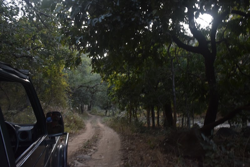 Kumbhalgarh Jungle - Kumbhalgarh Jungle Fort Road, Kumbhalgarh, Kelwara, Rajasthan 313325, India