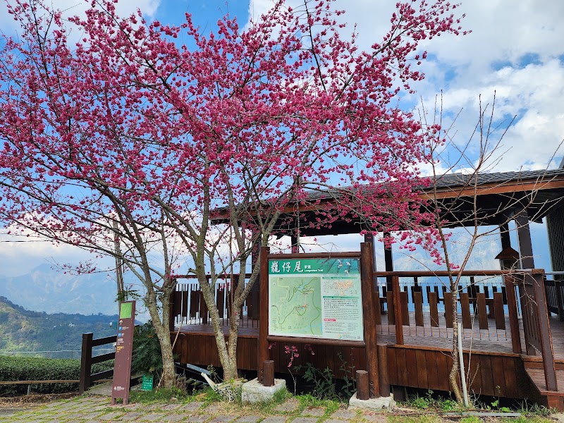 Longzaiwei Trail - Longzaiwei Trail 603, Taiwan, Chiayi County, Meishan Township, 太和巃仔尾步道