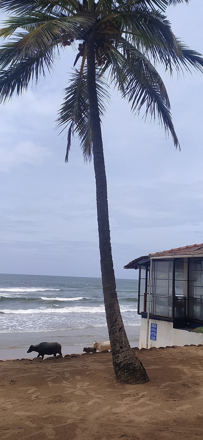 South Goa - South Goa South Goa, Goa, India