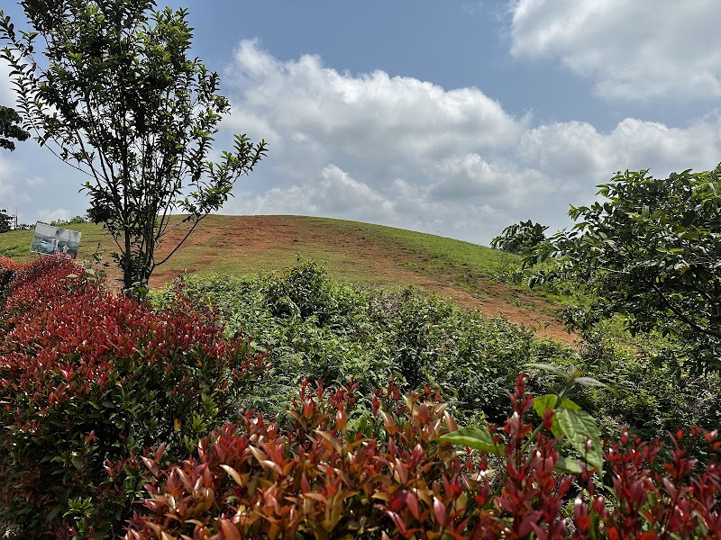 Vagamon Meadows - Vagamon Meadows Vagamon, Kolahalamedu, Kerala 685501, India