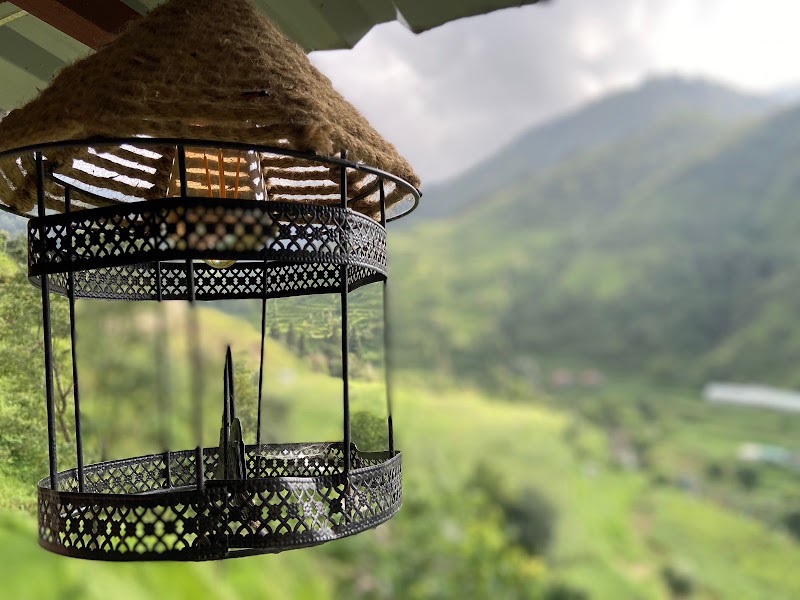 The Mud house, Mussoorie