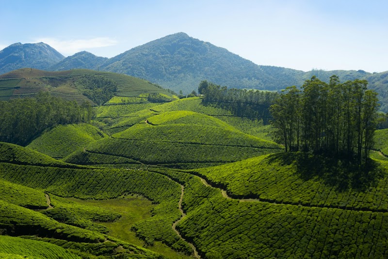 Kerala Tour Plan
